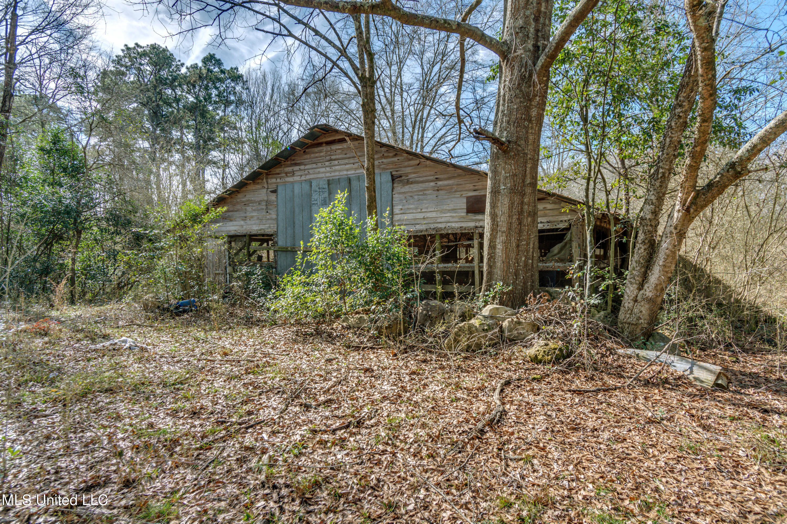 1125 Highway 481 Raleigh, MS 39153 - Photo 9 of 31 ROG_0088- 1125 Ms 481