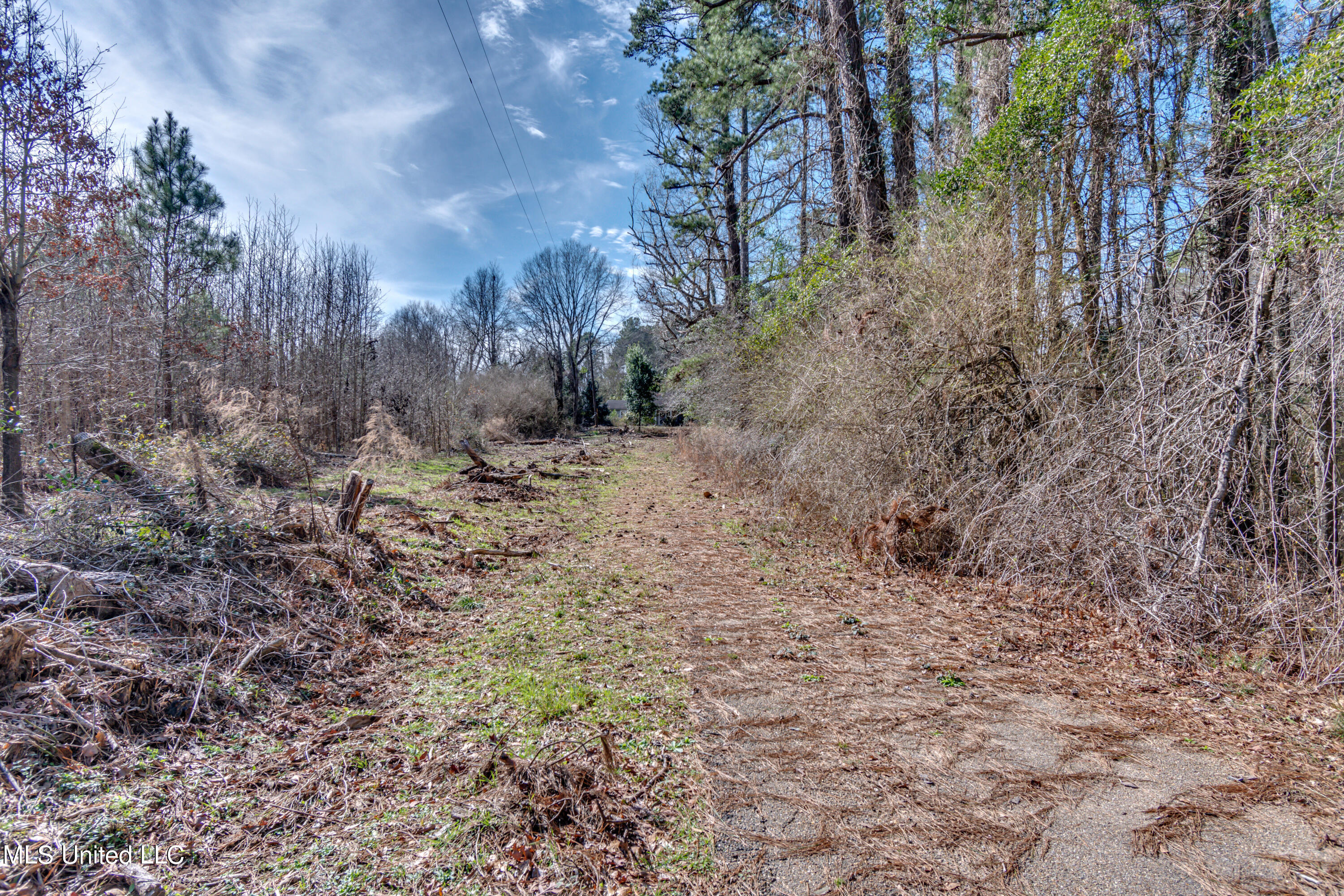1125 Highway 481 Raleigh, MS 39153 - Photo 10 of 31 ROG_0097- 1125 Ms 481