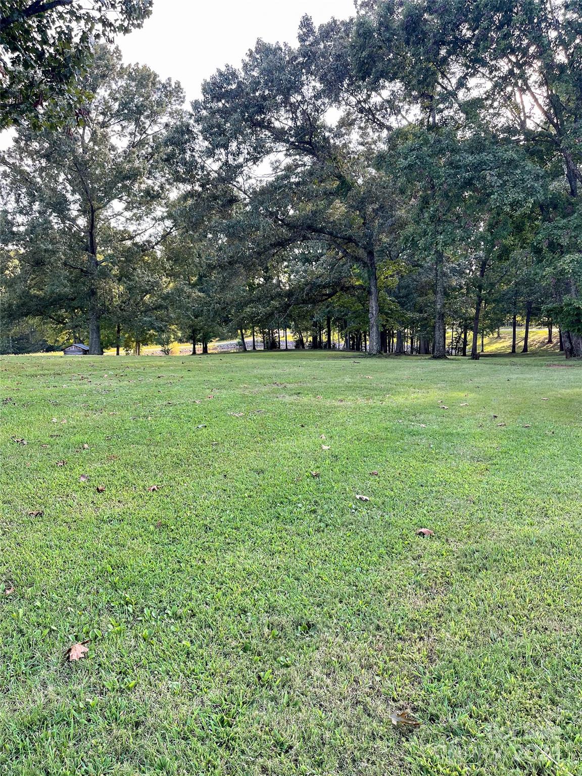 1610 State Rd S-46-1102 York, SC 29745 - Photo 28 of 31