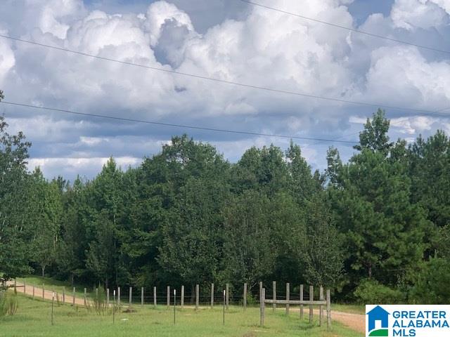 427 Mitchell Young Farm Road West Blocton, AL 35184 - Photo 9 of 12