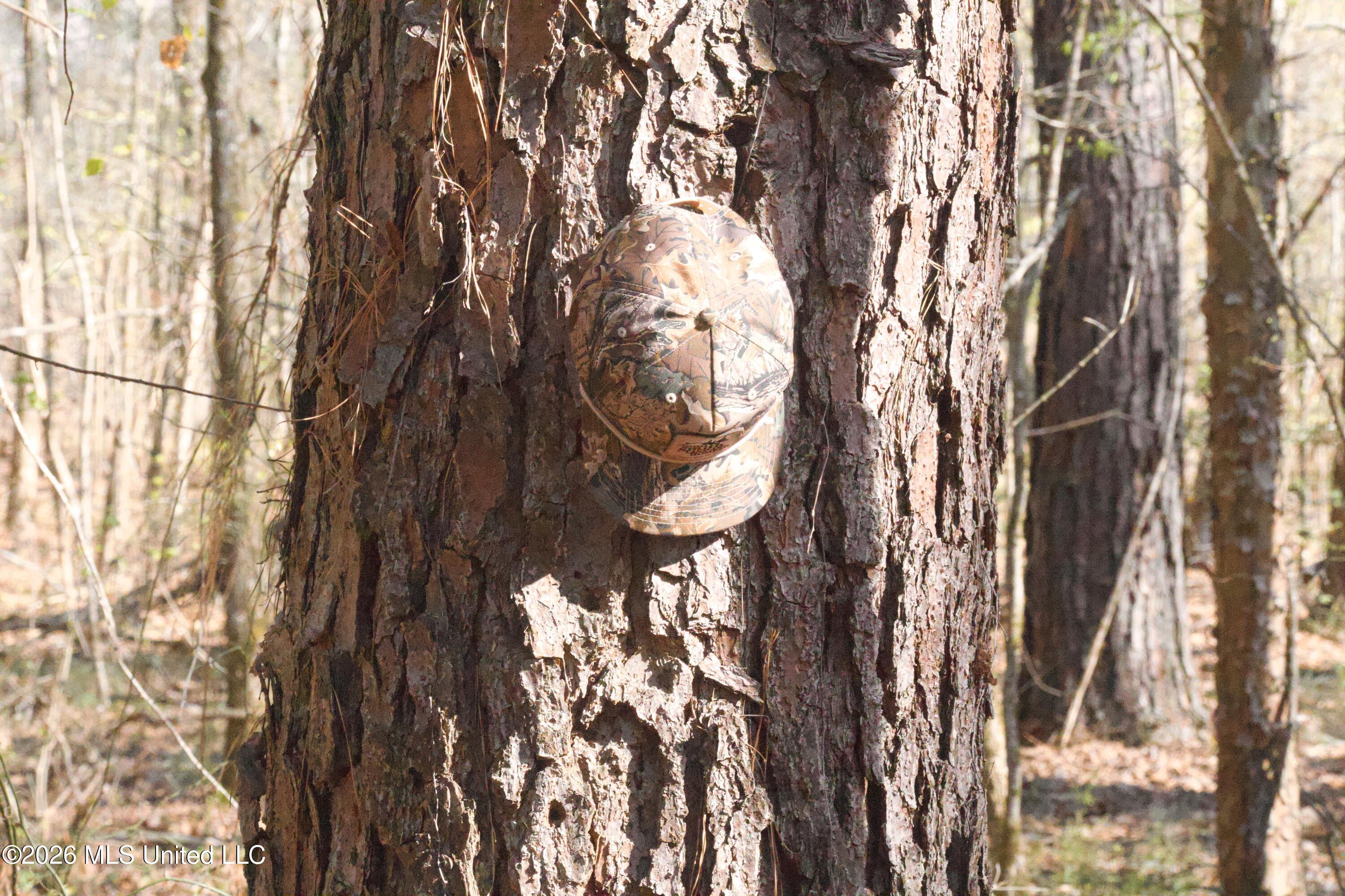 Photo Mar 15 2026, 9 59 52 AM