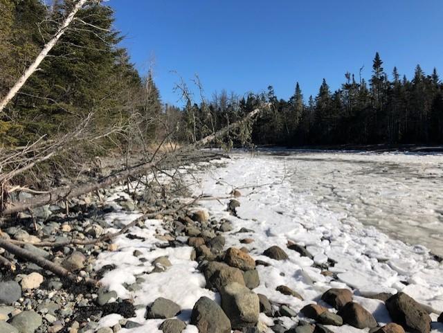 9 Map Cutler, ME 04626 - Photo 3 of 11 thumbnail_IMG_6416