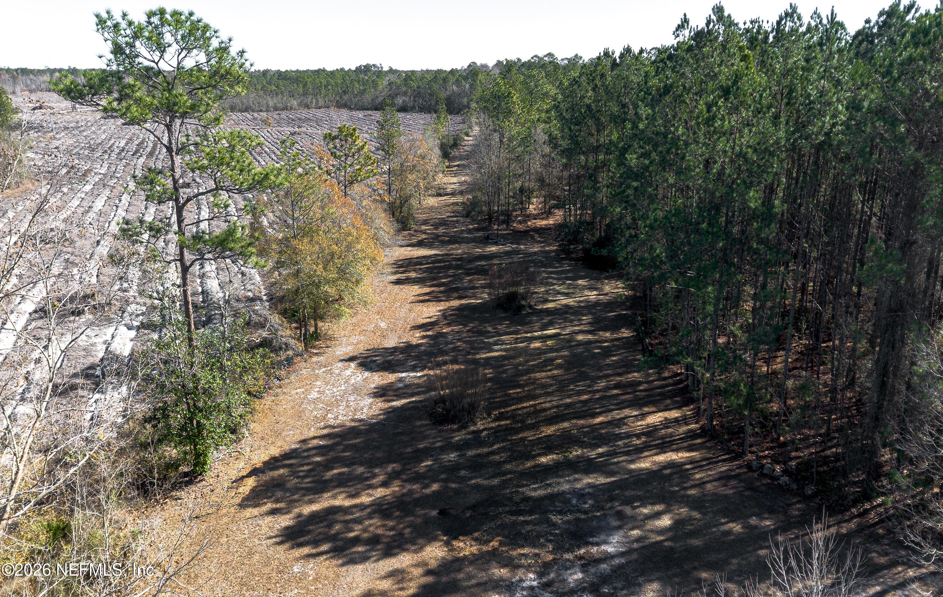 18273 Highway 16 Starke, FL 32091 - Photo 40 of 42 a view of a yard with wooden fence