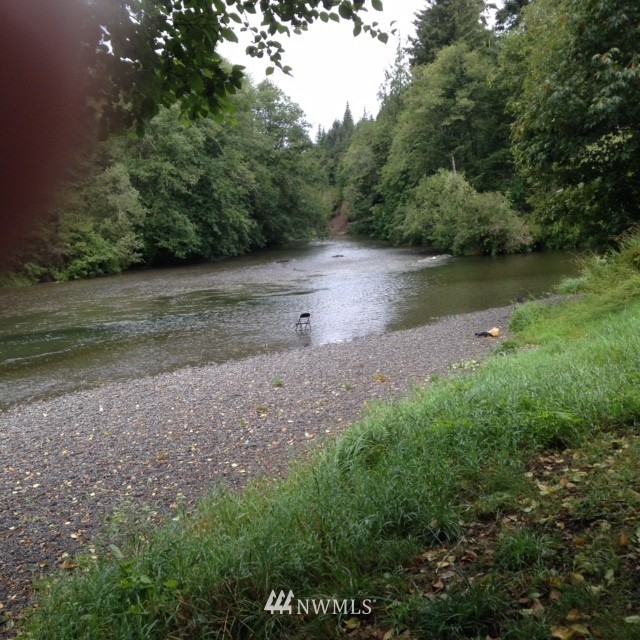 210 West Satko Glenn Road Elma, WA 98541 - Photo 2 of 22 Gallery Image 2