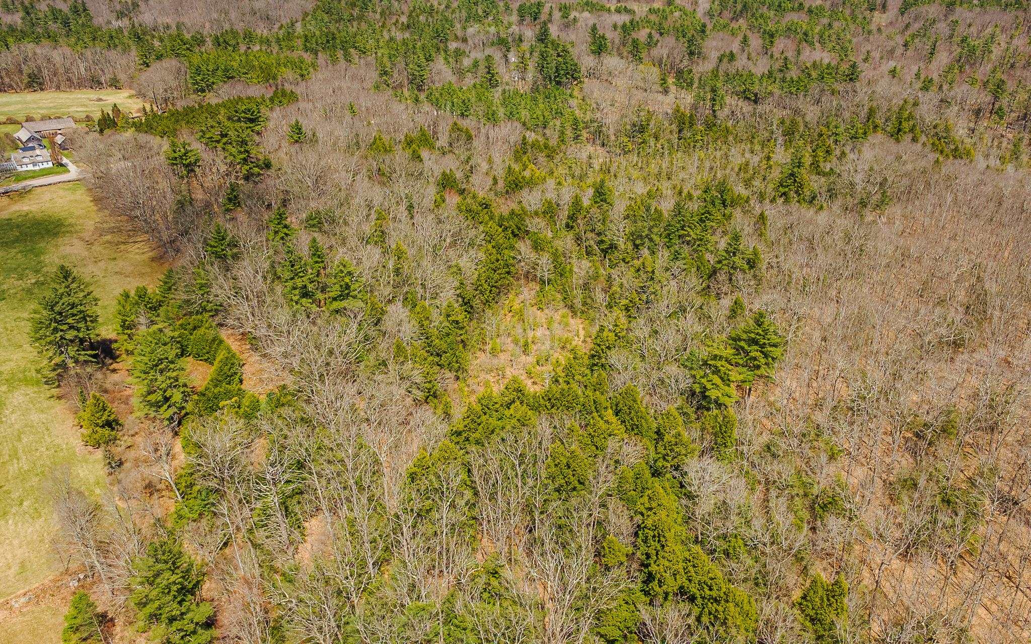 0 Forest Road Alstead, NH 03602 - Photo 6 of 12