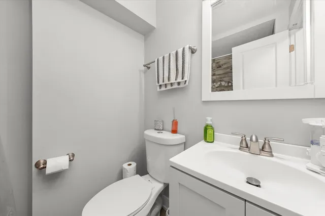 a bathroom with a sink a toilet and mirror