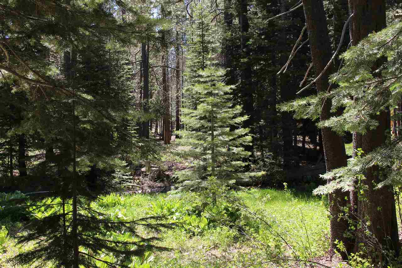 11579 Sun Valley Road Truckee, CA 96161 - Photo 12 of 14 Gallery Image 12