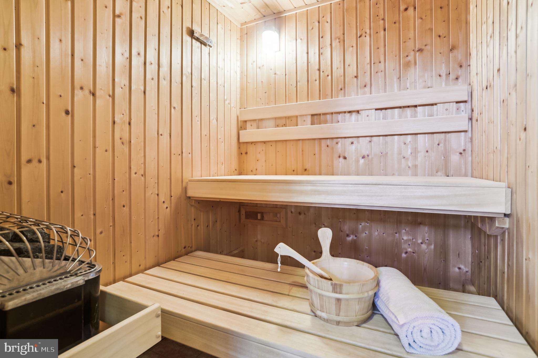 4168 Cadle Creek Road Edgewater, MD 21037 - Photo 43 of 80 Finnleo sauna for relaxation.