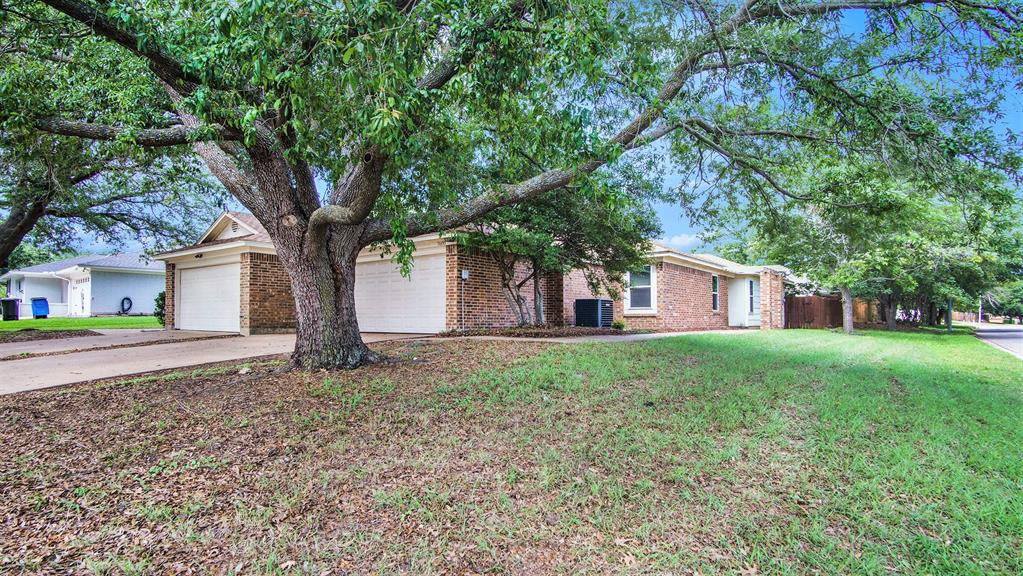 a tree in front of a white house