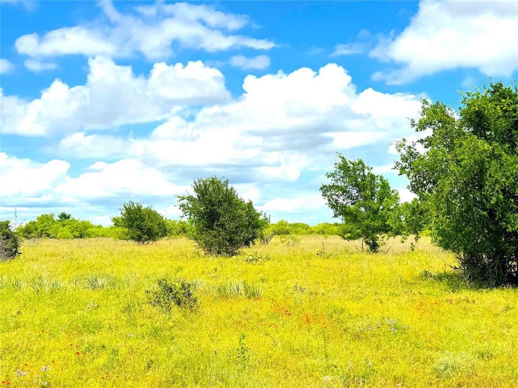 2091 Fm-52 Perrin, TX 76486 - Photo 7 of 23