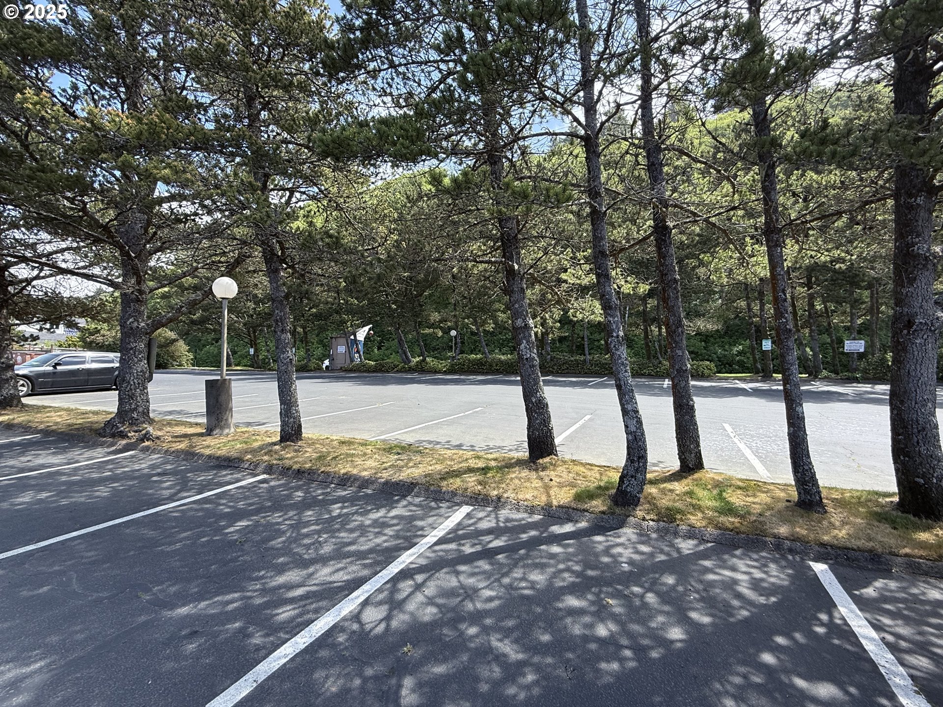 48988 Highway 101, Unit 137F Neskowin, OR 97149 - Photo 28 of 29 a view of a yard with a tree