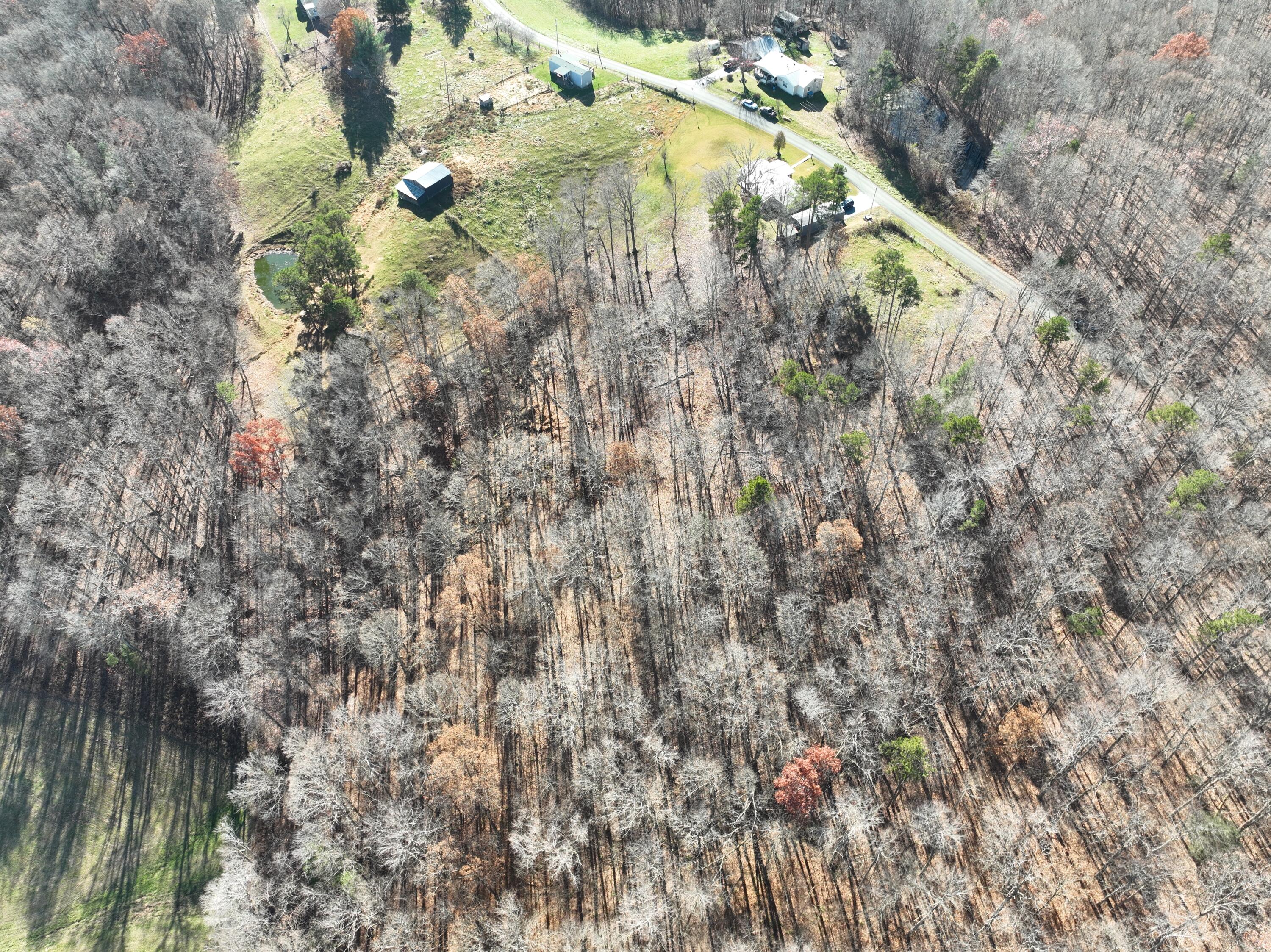 999 Jacks Ridge Road McKee, KY 40447 - Photo 8 of 15 DJI_0529