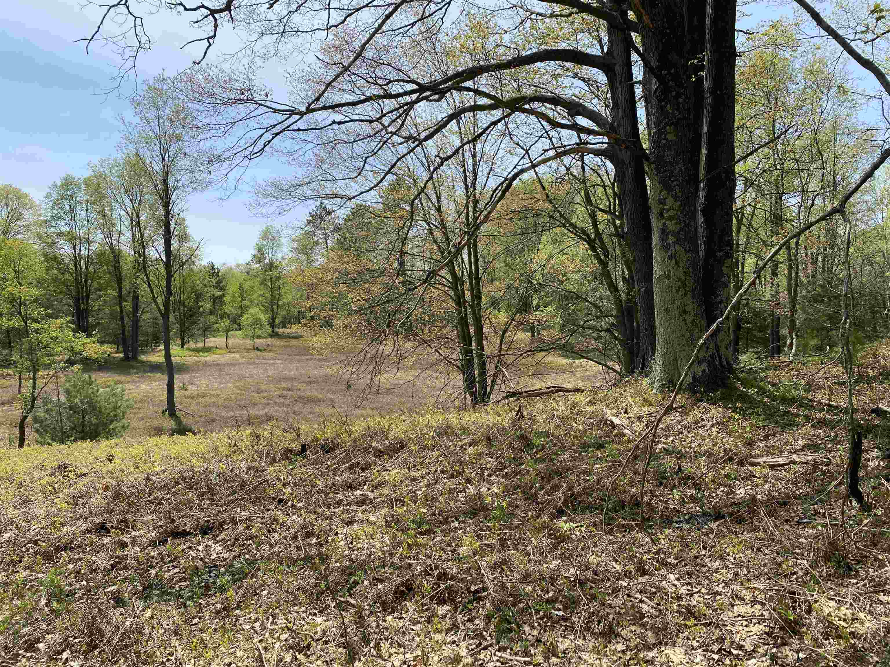 47 South 47 3/4 Road, Unit FOREST DRIVE LOT: 4 Cadillac, MI 49601 - Photo 3 of 14