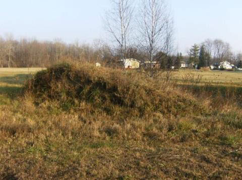 9060 Short Cut Road Fair Haven, MI 48023 - Photo 7 of 9 925068-6.JPG