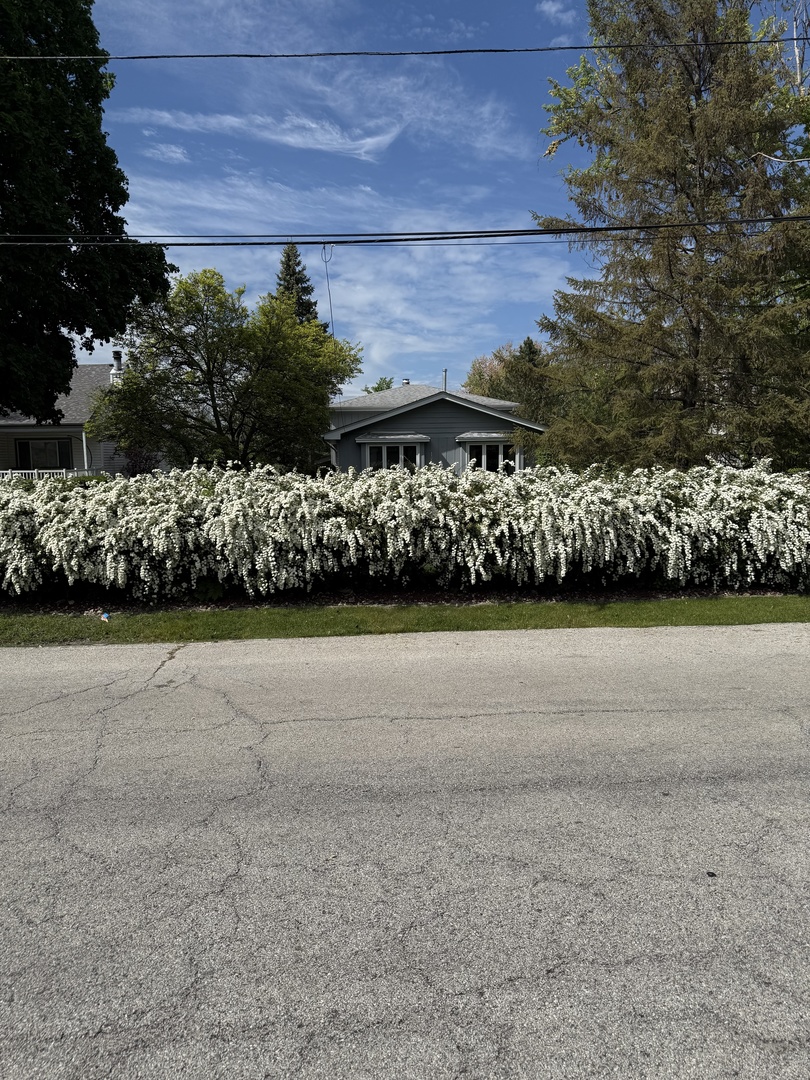 3068 Hickory Road Homewood, IL 60430 - Photo 39 of 44 a view of a garden