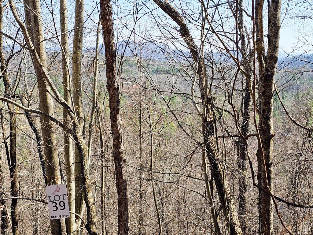 Lot 39 Merlin Trail Murphy, NC 28906 - Photo 16 of 21