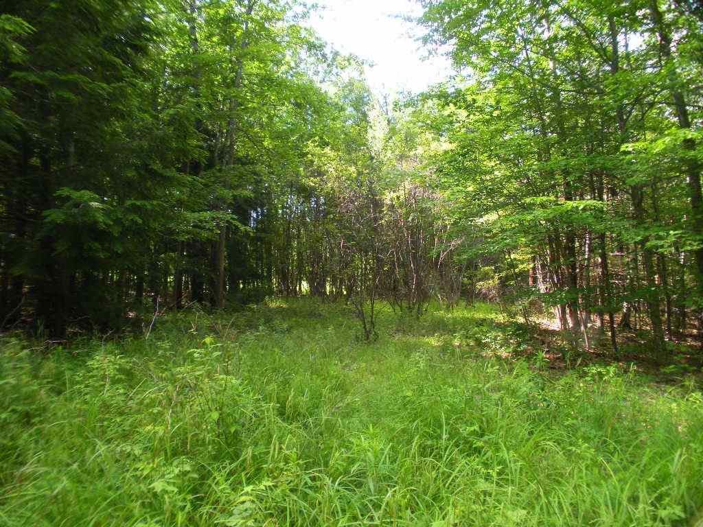 North Road Epsom, NH 03234 - Photo 12 of 23