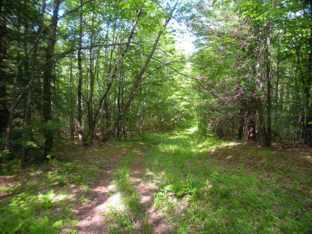 North Road Epsom, NH 03234 - Photo 13 of 23