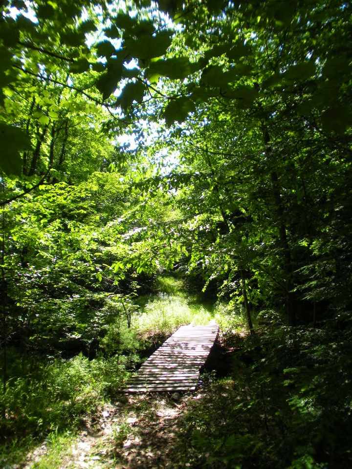 North Road Epsom, NH 03234 - Photo 17 of 23