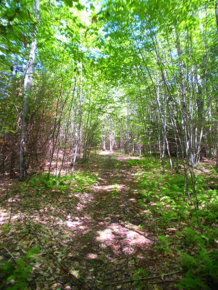 North Road Epsom, NH 03234 - Photo 18 of 23