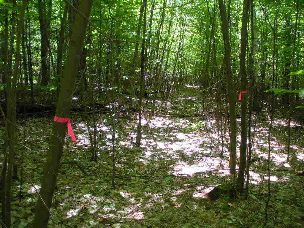 North Road Epsom, NH 03234 - Photo 20 of 23