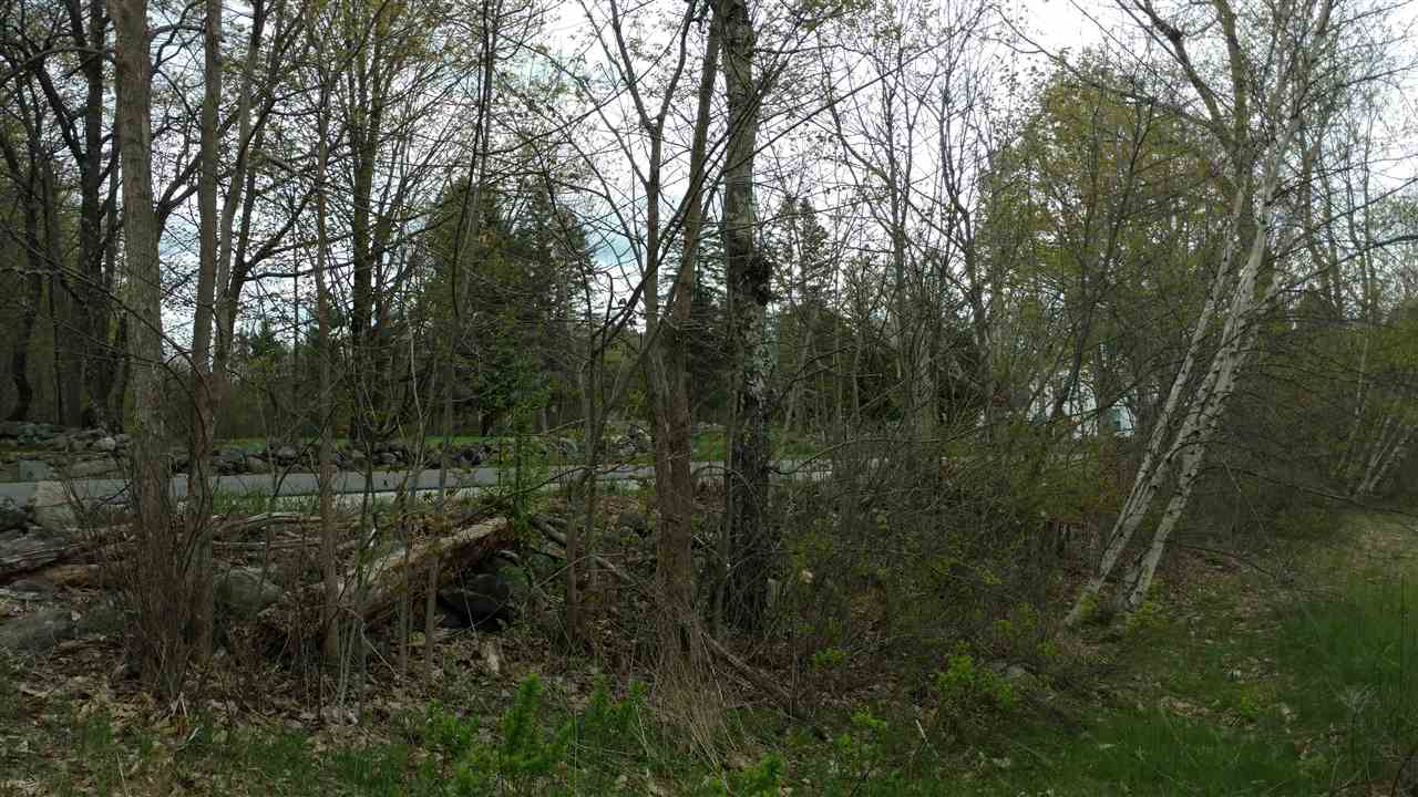 North Road Epsom, NH 03234 - Photo 10 of 23