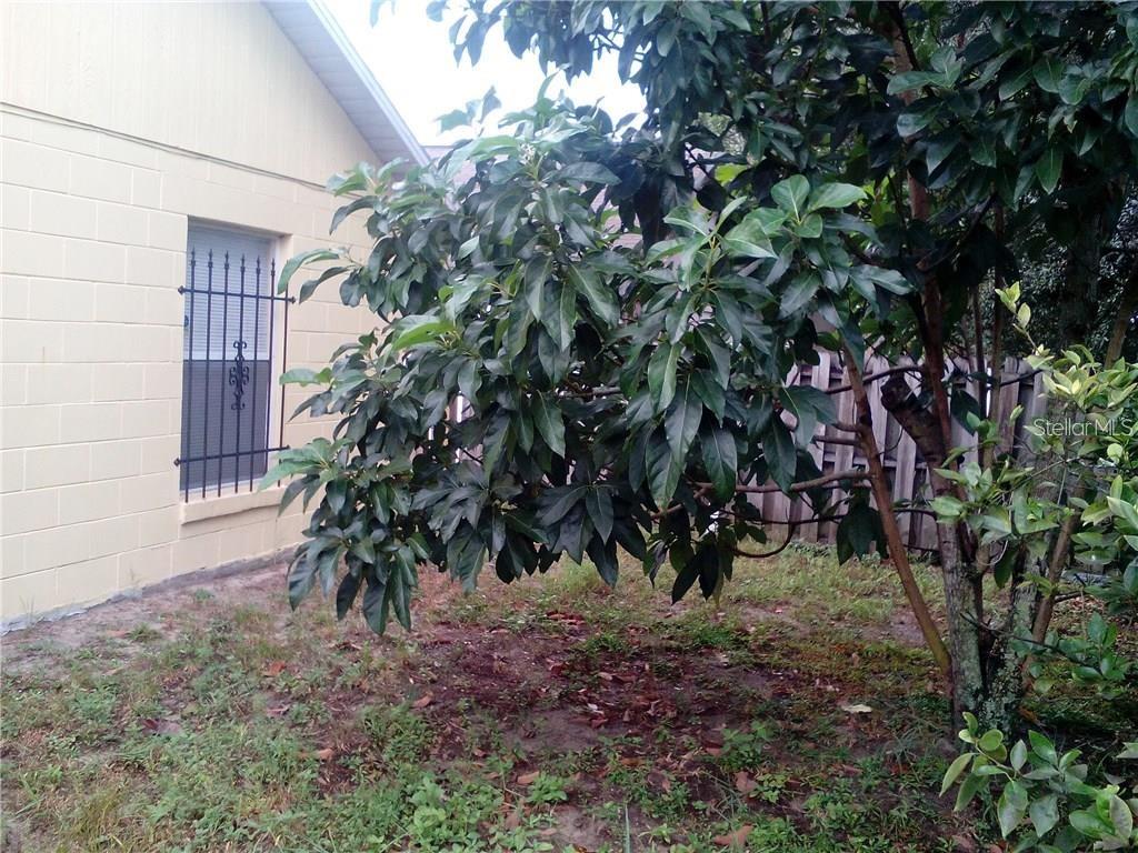 5633 Piney Ridge Drive Orlando, FL 32808 - Photo 2 of 18 a view of a yard with plants and a tree