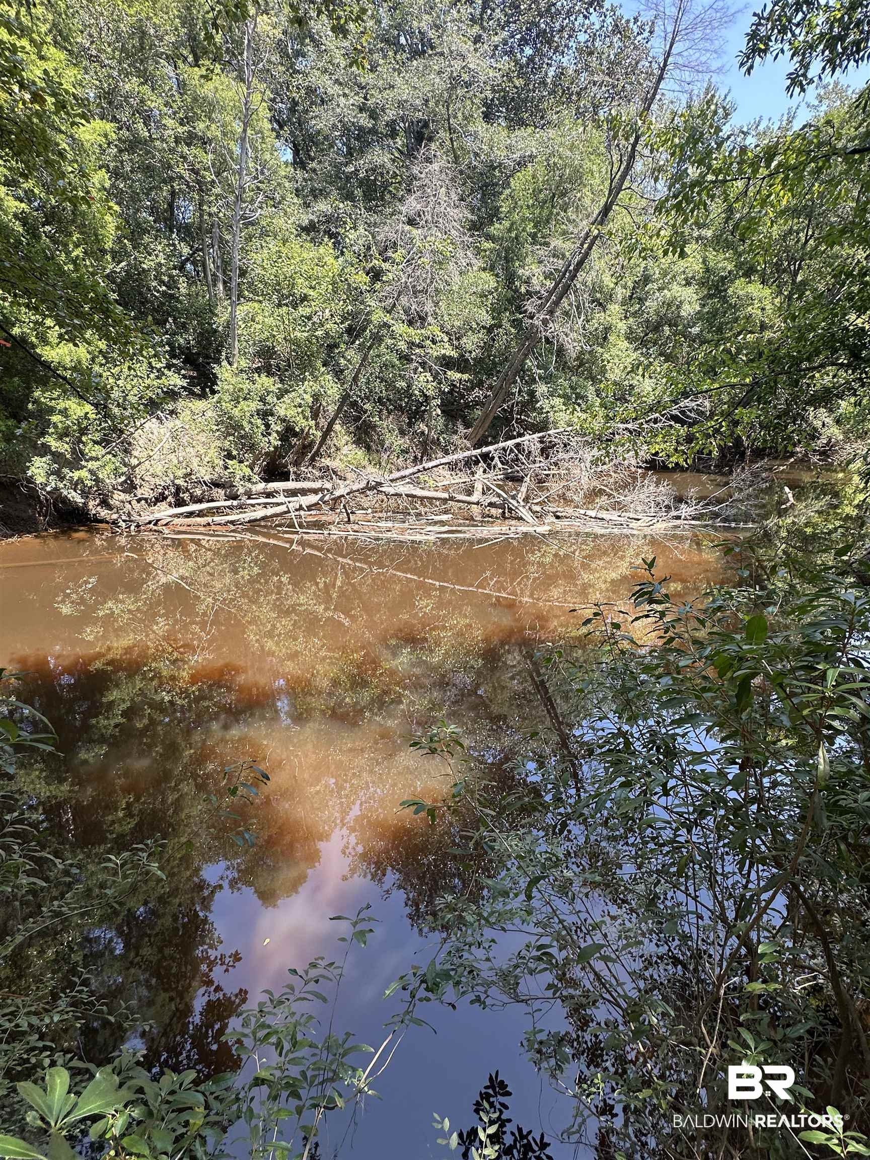 17175 Kelly Road Mount Vernon, AL 36560 - Photo 25 of 30 Water view