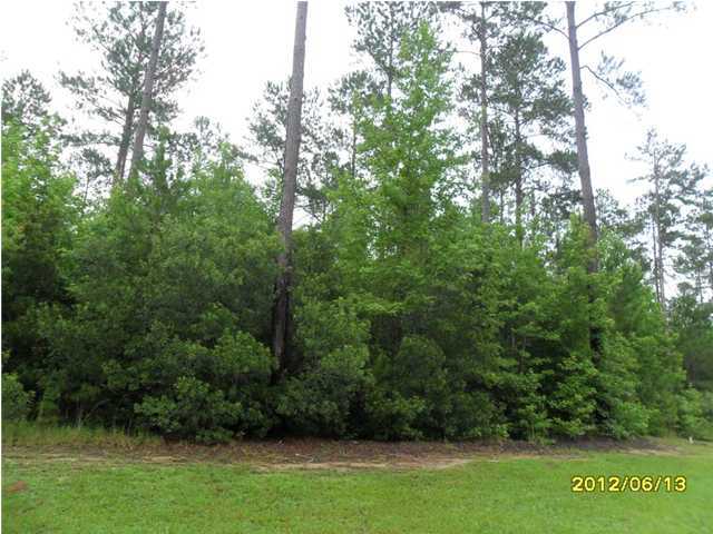 22 Briarbend Road Ridgeville, SC 29472 - Photo 2 of 4 Additional Photo