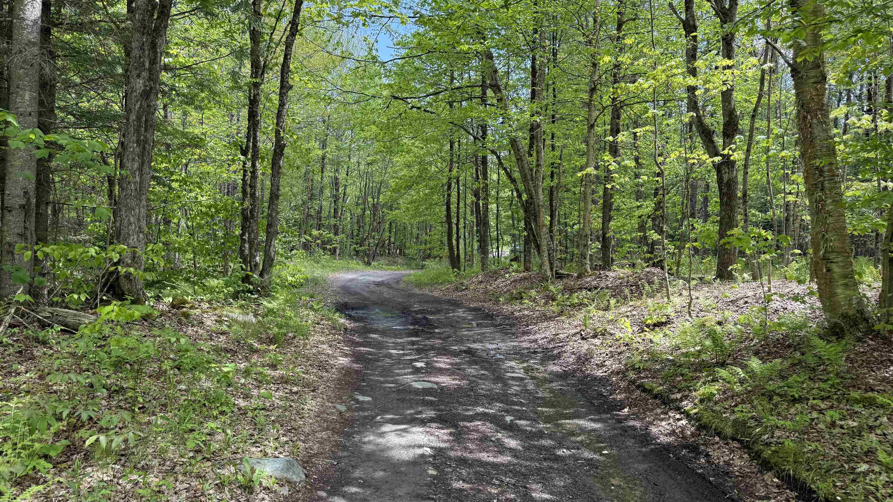 0 Potter Road Lowell, VT 05847 - Photo 42 of 48