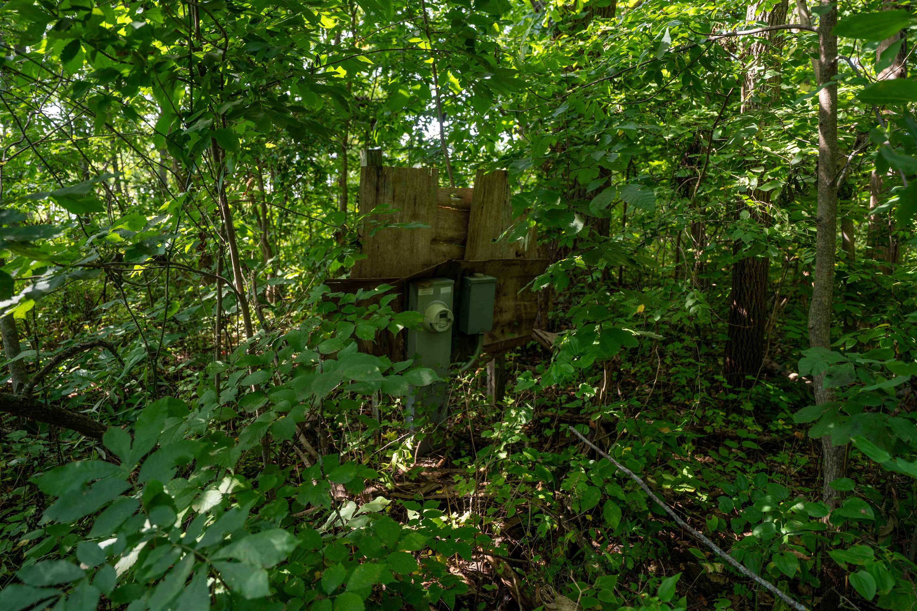 0 West Raders Road Pearl City, IL 61062 - Photo 15 of 74 Gallery Image 15