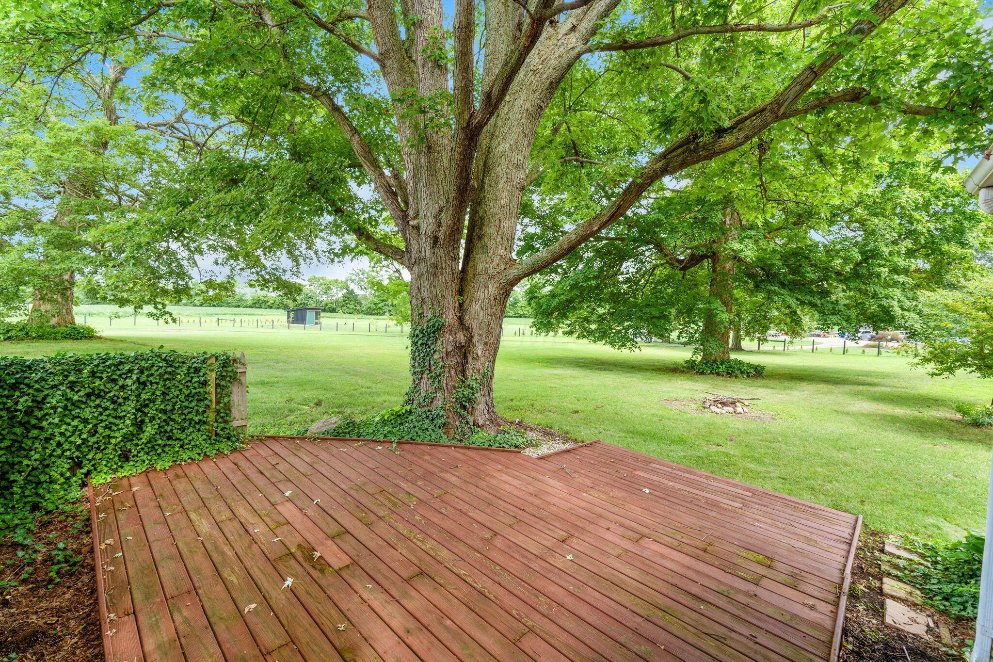 5930 Marion-Marysville Road Prospect, OH 43342 - Photo 31 of 67 5930 Marion-Marysville Rd (Exterior)-23
