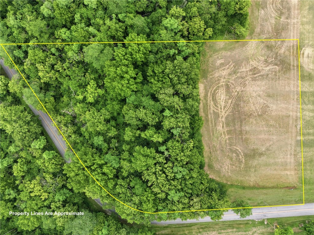 5632 O Neall Road Waynesville, OH 45068 - Photo 9 of 14