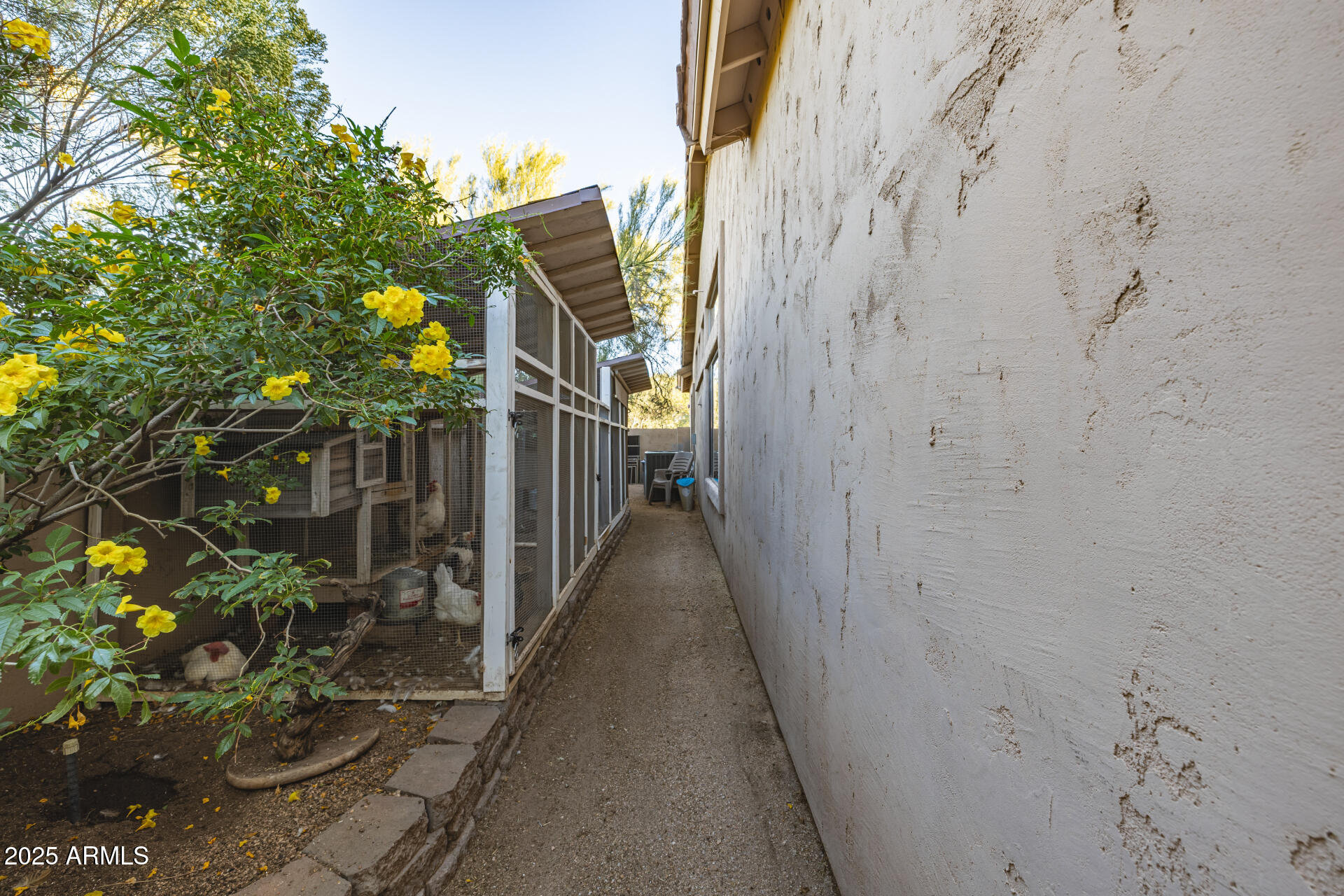 7492 East Red Bird Road Scottsdale, AZ 85266 - Photo 48 of 56 54-Red Bird