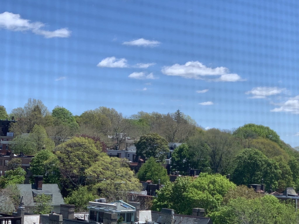 1731 Beacon Street, Unit 1213 Brookline, MA 02445 - Photo 11 of 29 a view of a city