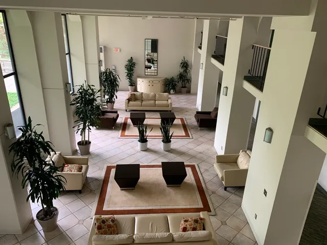 a living room with furniture and a potted plant