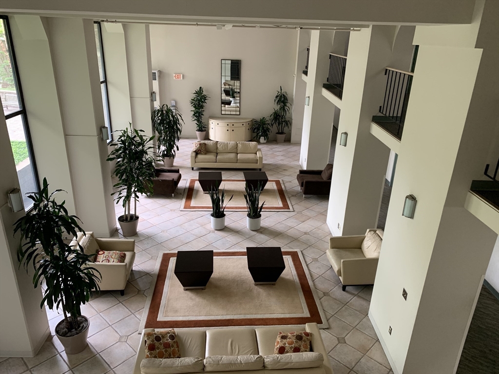 1731 Beacon Street, Unit 1213 Brookline, MA 02445 - Photo 15 of 29 a living room with furniture and a potted plant