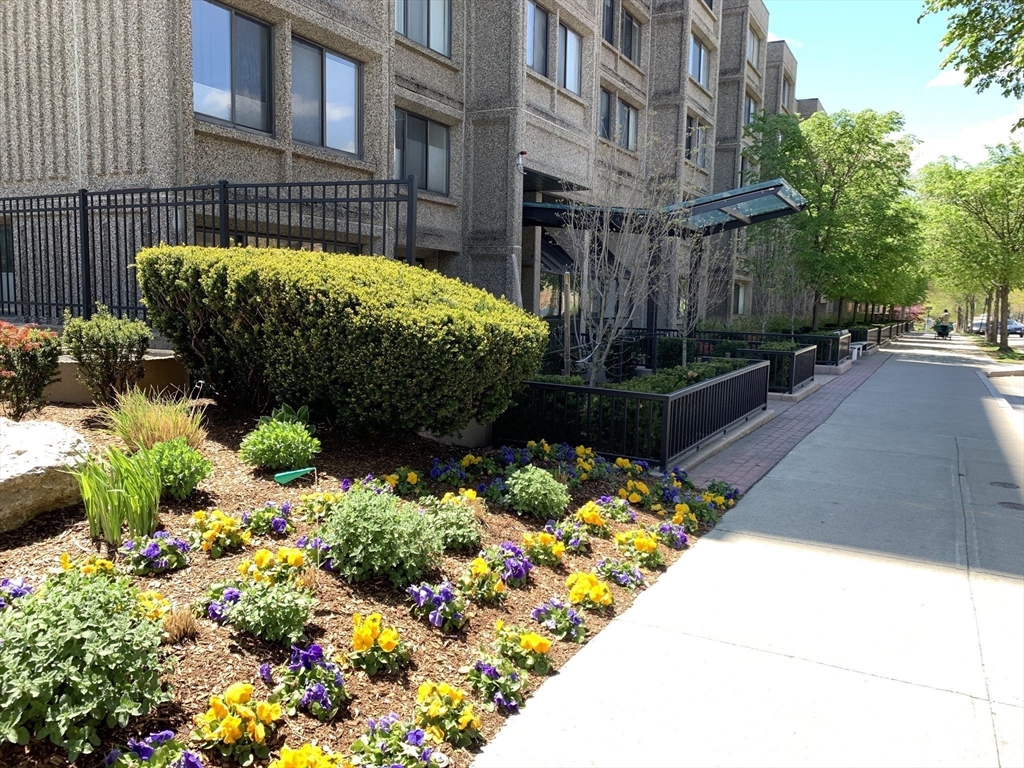 1731 Beacon Street, Unit 1213 Brookline, MA 02445 - Photo 5 of 29 a view of a garden with a pathway