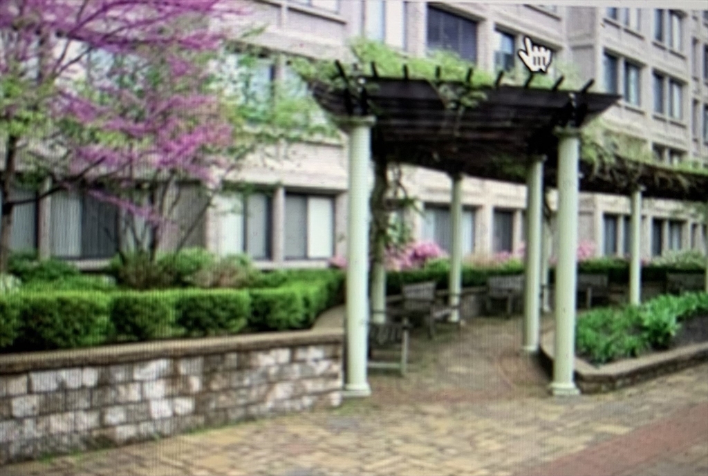 1731 Beacon Street, Unit 1213 Brookline, MA 02445 - Photo 7 of 29 a front view of a house with a garden