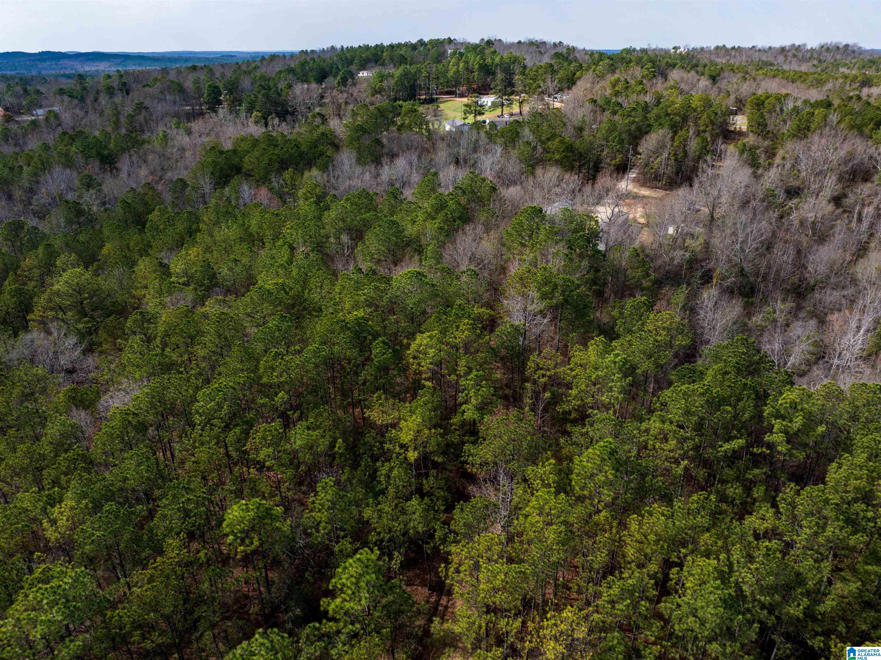 0 Flat Rock Road Tallassee, AL 36078 - Photo 8 of 13