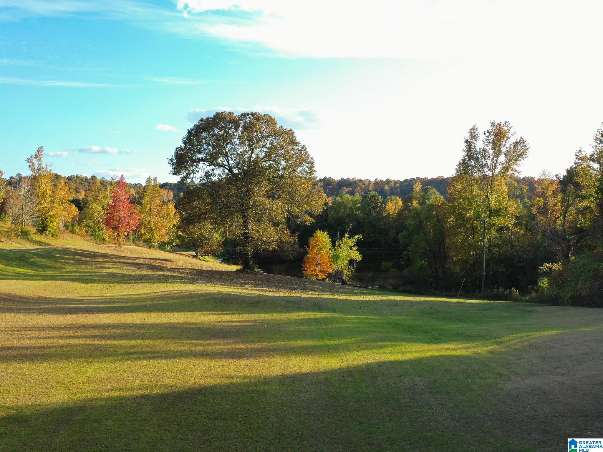10715 Big Hurricane Road Brookwood, AL 35444 - Photo 2 of 47
