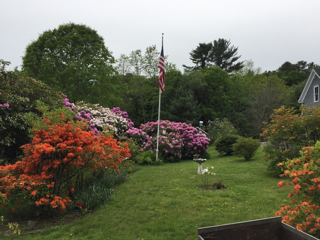 46 South Hampton Road Amesbury, MA 01913 - Photo 39 of 42 a view of a garden