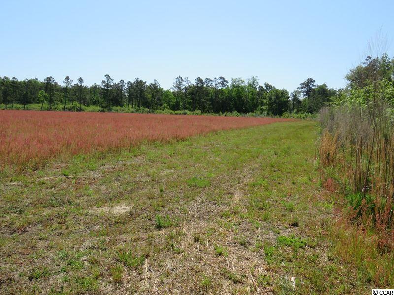 1777 Bud Stephens Road Evergreen, NC 28438 - Photo 1 of 9 Gallery Image 1