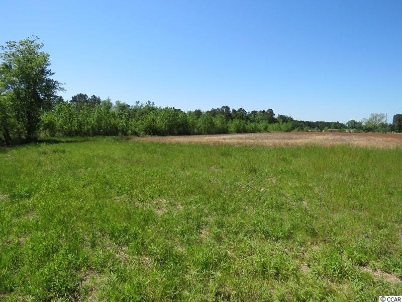 1777 Bud Stephens Road Evergreen, NC 28438 - Photo 4 of 9 Gallery Image 4