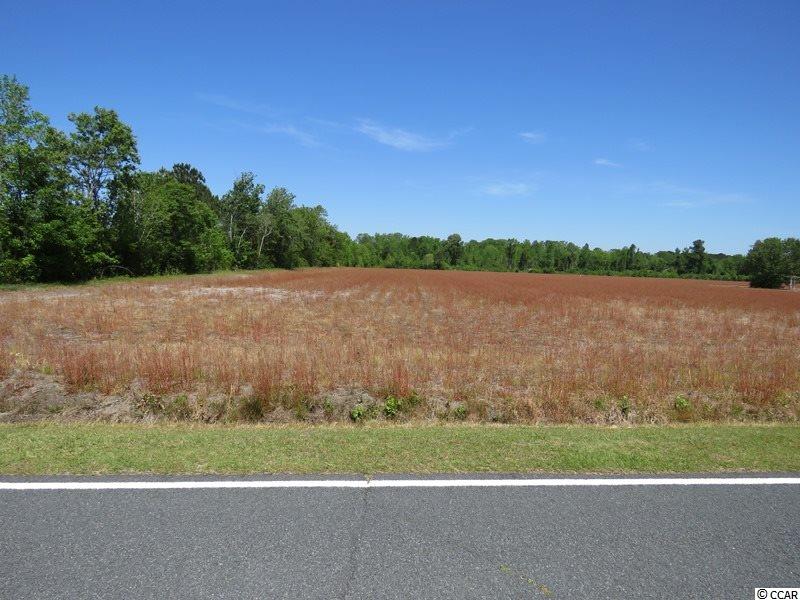 1777 Bud Stephens Road Evergreen, NC 28438 - Photo 6 of 9 Gallery Image 6