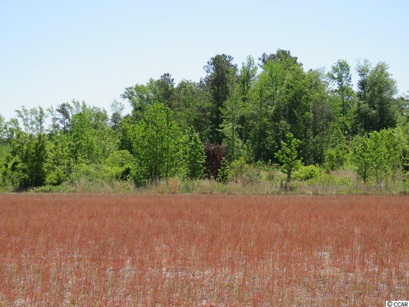 1777 Bud Stephens Road Evergreen, NC 28438 - Photo 9 of 9 Gallery Image 9