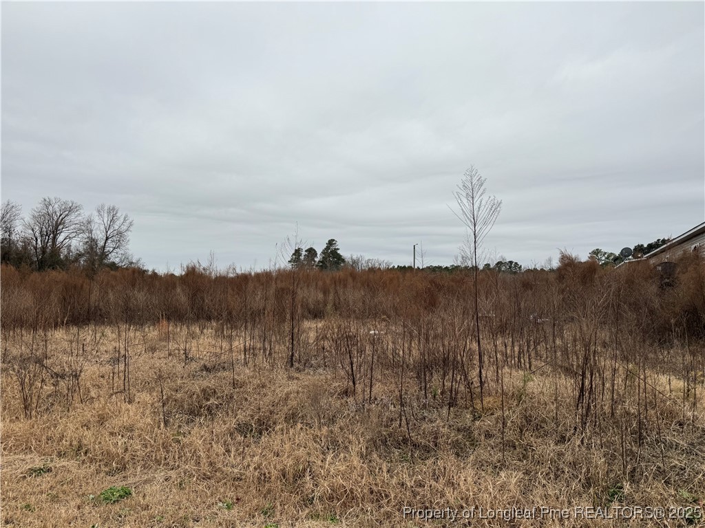 4856 Saddletree Road Lumberton, NC 28360 - Photo 4 of 9 a view of mountain with lake view