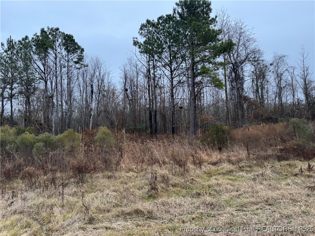 4856 Saddletree Road Lumberton, NC 28360 - Photo 5 of 9 a view of backyard with green space