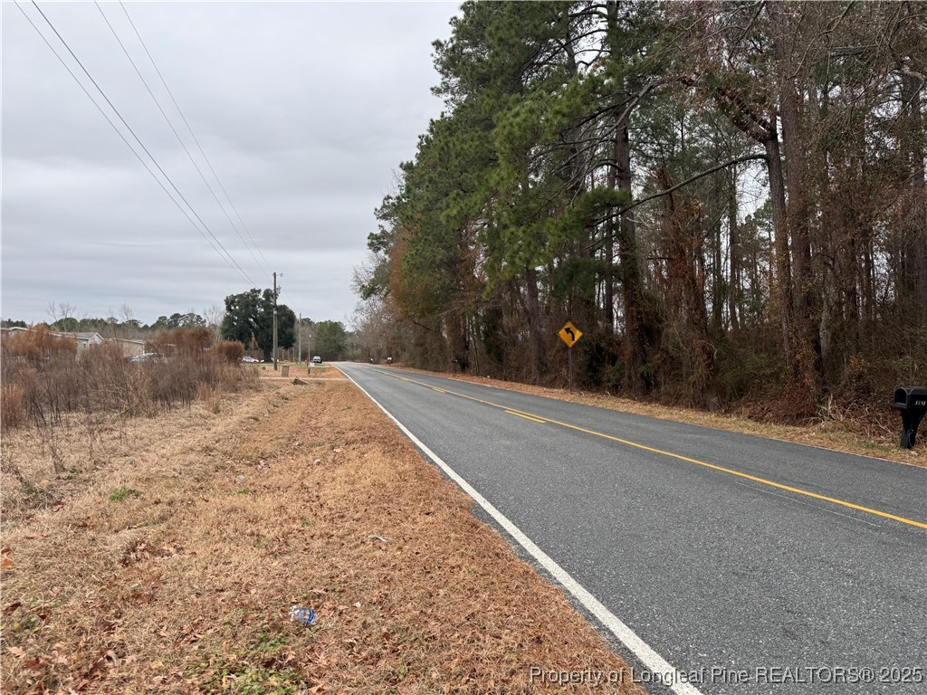 4856 Saddletree Road Lumberton, NC 28360 - Photo 8 of 9 a view of a dry yard with trees