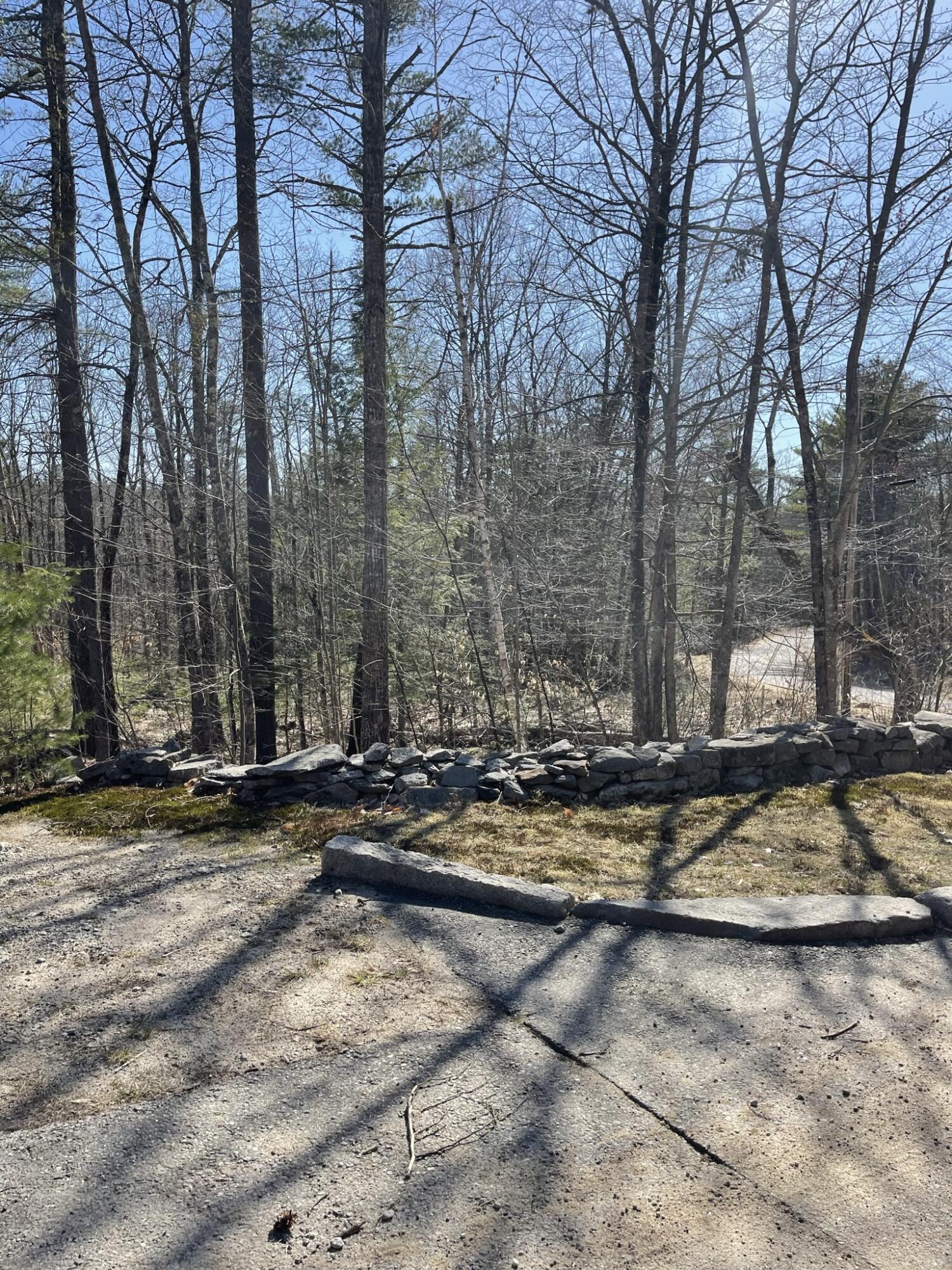 5 A Lake House Road Naples, ME 04055 - Photo 5 of 26 IMG_6469